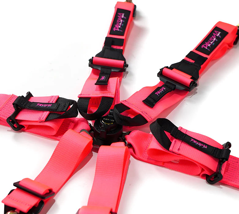 FIA Harness