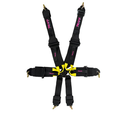 FIA Harness