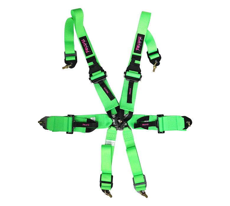 FIA Harness