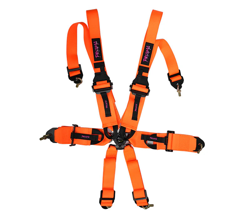 FIA Harness