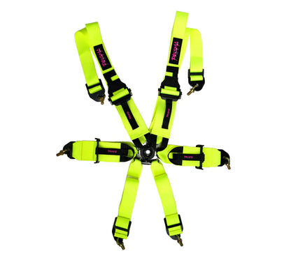 FIA Harness