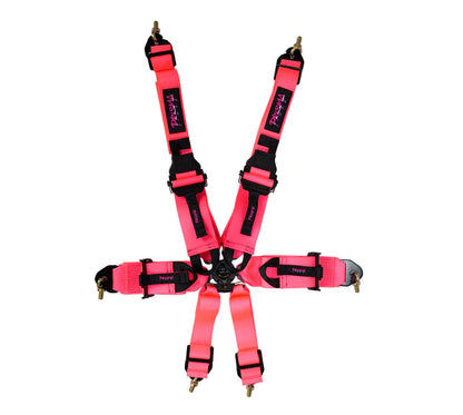 FIA Harness