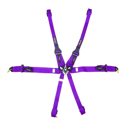 FIA Harness